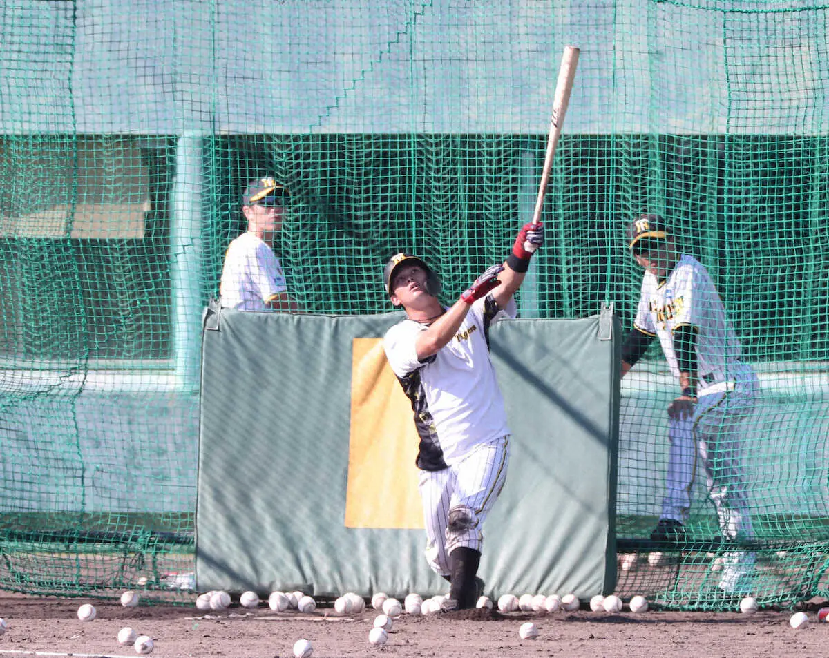 ＜阪神秋季安芸キャンプ＞フリー打撃を行う野口（後方右は和田2軍監督）（撮影・成瀬　徹）