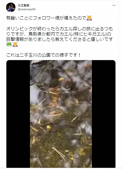 入江聖奈公式ツイッター（＠seeenaaa09）より
