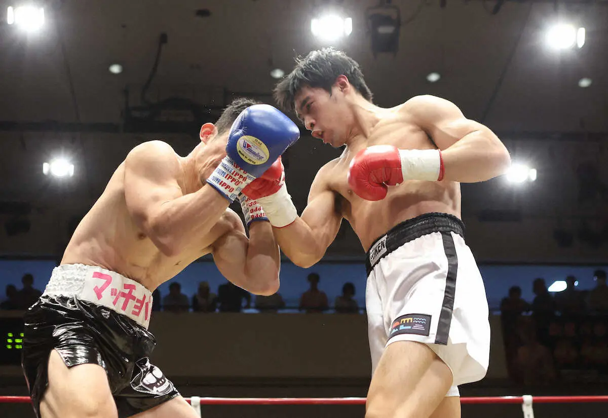 ＜東日本新人王　ミドル級四回戦＞強烈なアッパーを見舞う赤井英五郎（撮影・白鳥　佳樹）