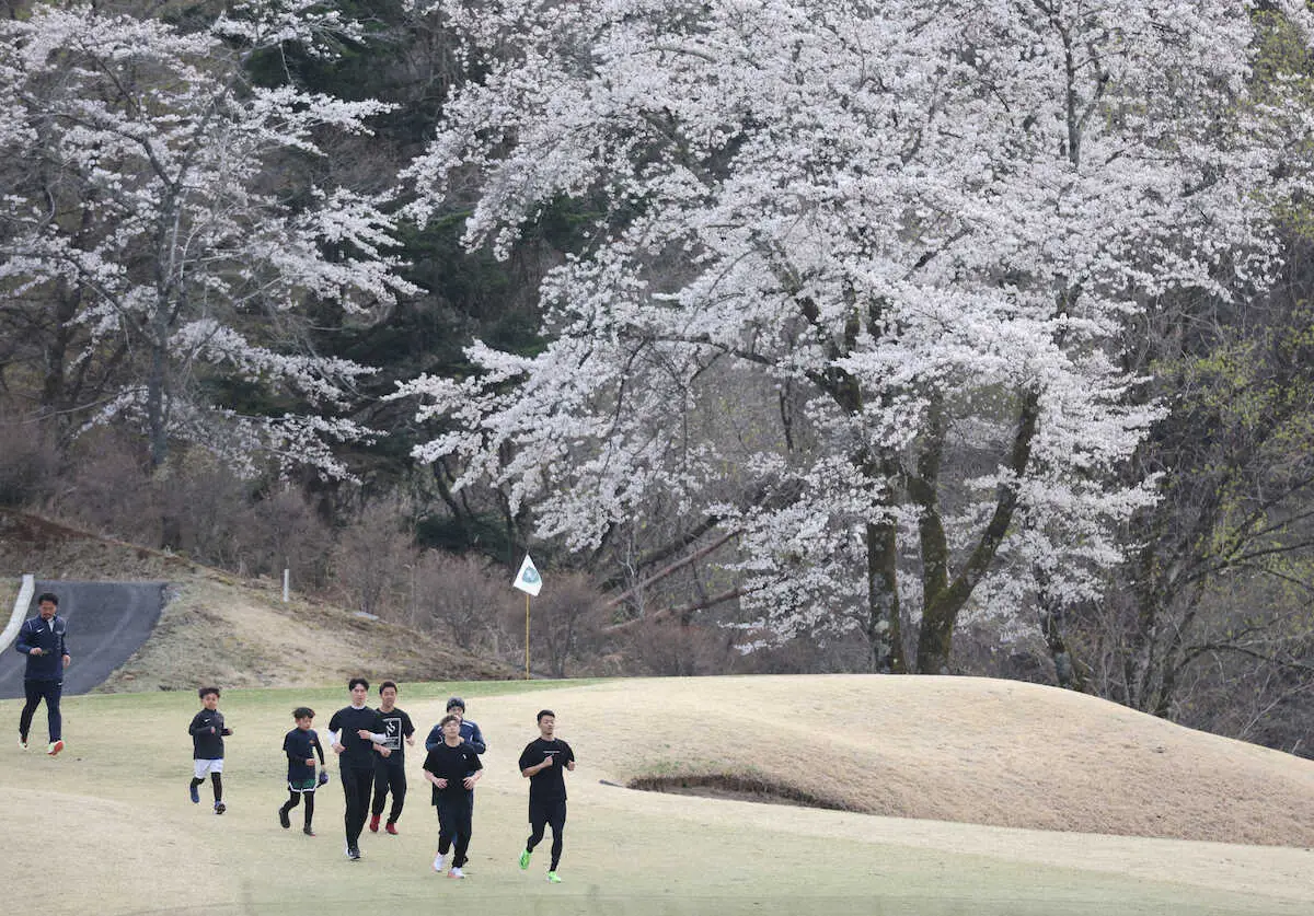 ＜中谷・合宿公開＞桜をバックにランニングする中谷（右）　　（撮影・村上　大輔）