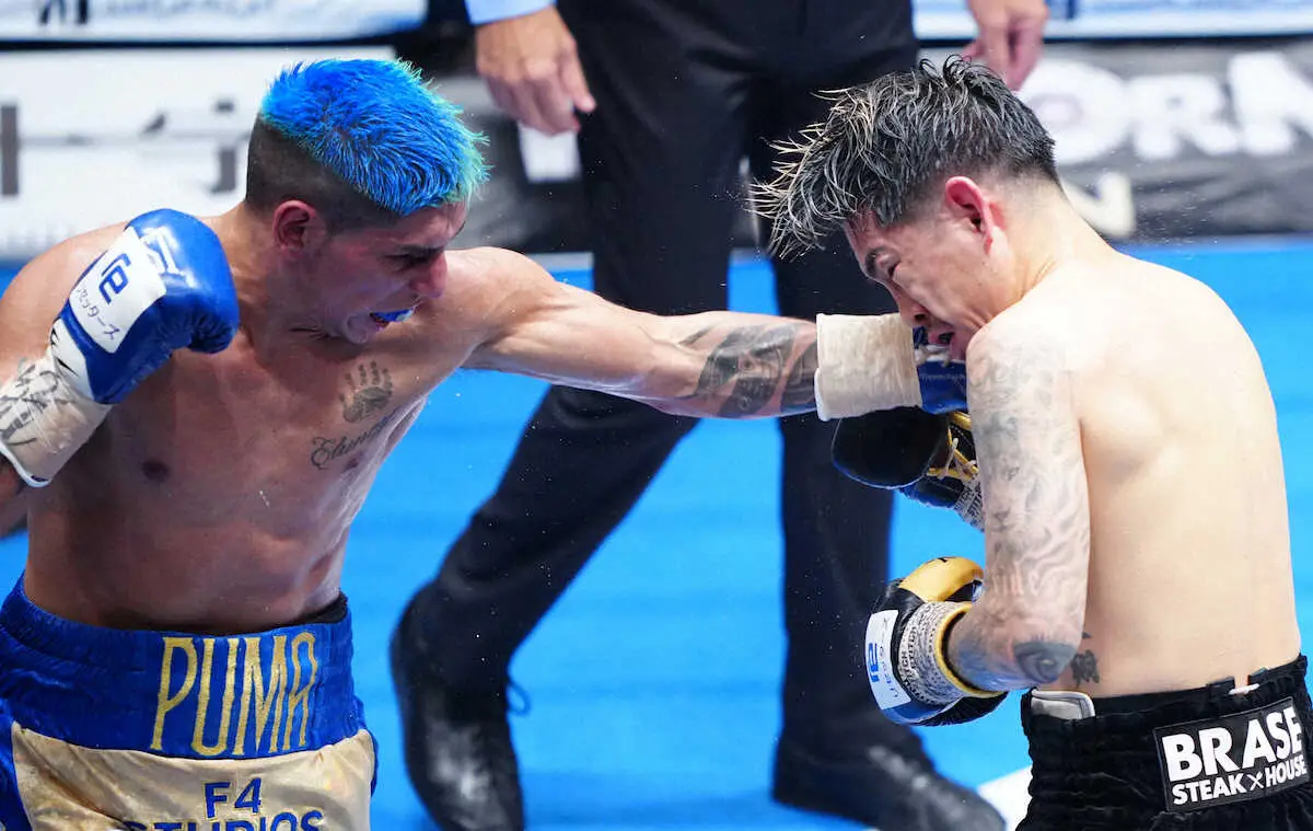 昨年7月の統一戦でフェルナンド・マルティネスのカウンターを浴びる井岡