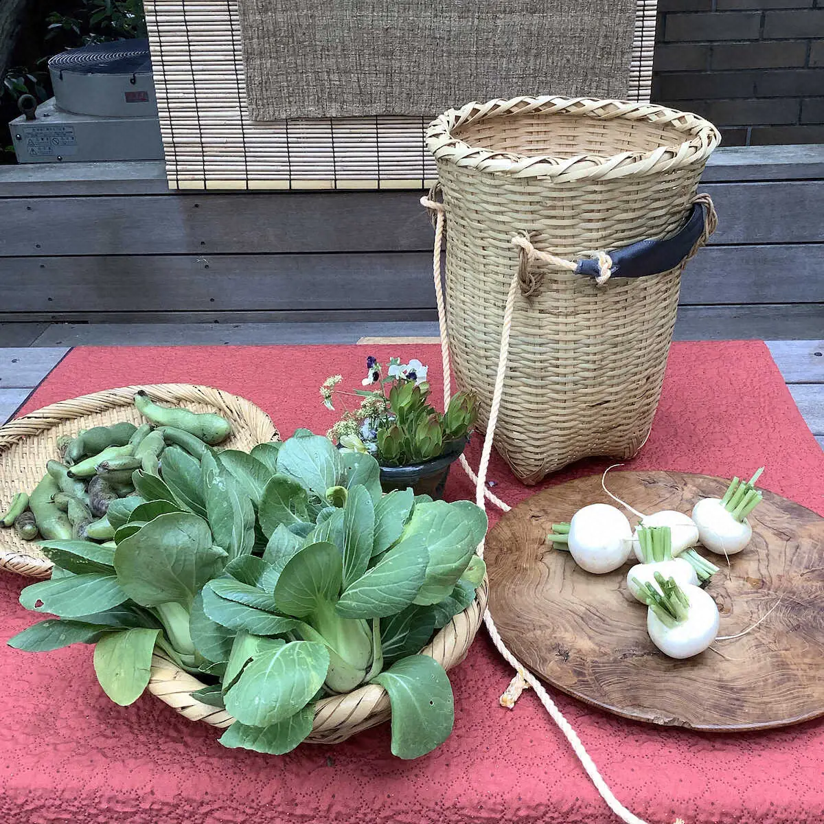農園で育てたとれたて野菜