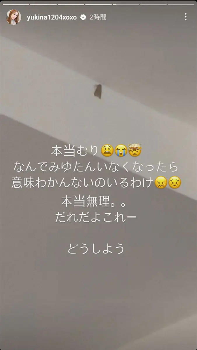 木下優樹菜さん公式インスタグラム（＠yukina1204xoxo）から