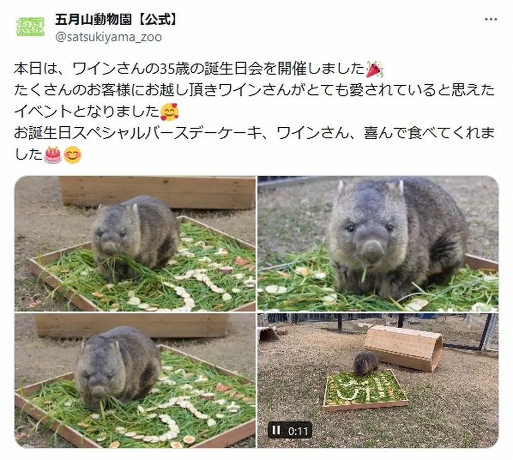 池田市立五月山動物園の公式X（@satsukiyama_zoo）より
