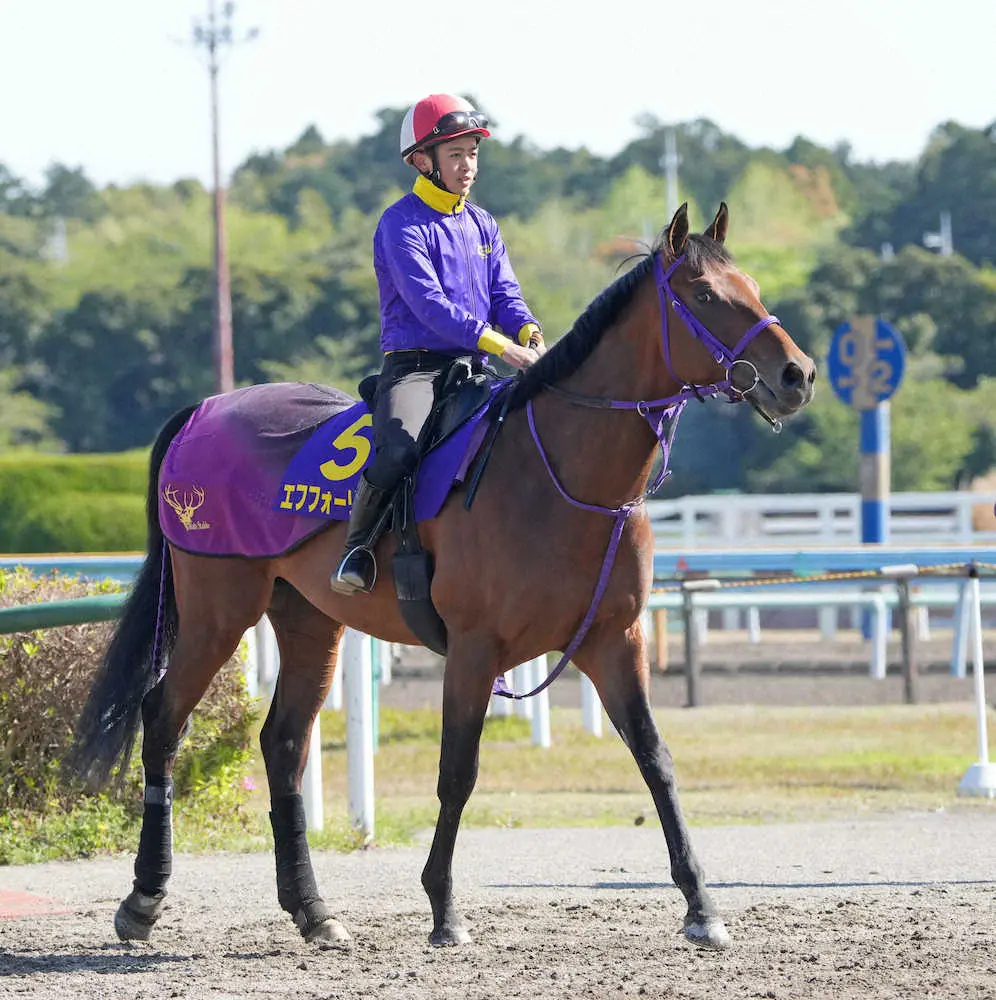 美浦トレセンで軽めの調整を行ったエフフォーリア（撮影・西川祐介）