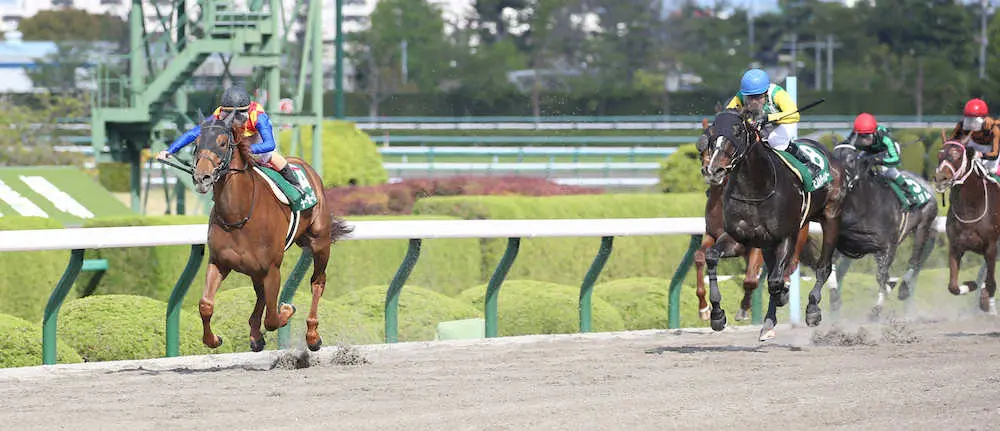 ＜アンタレスS＞直線で後続を突き放し勝利するテーオーケインズ（左）（撮影・亀井　直樹）
