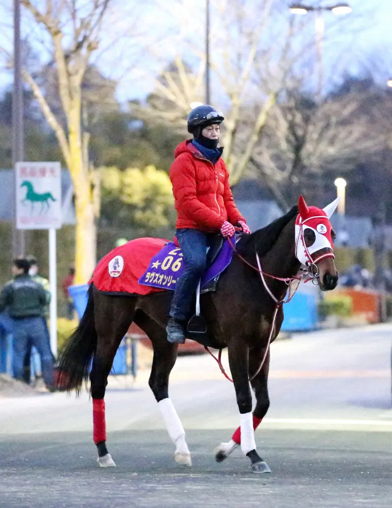 ラヴズオンリーユー