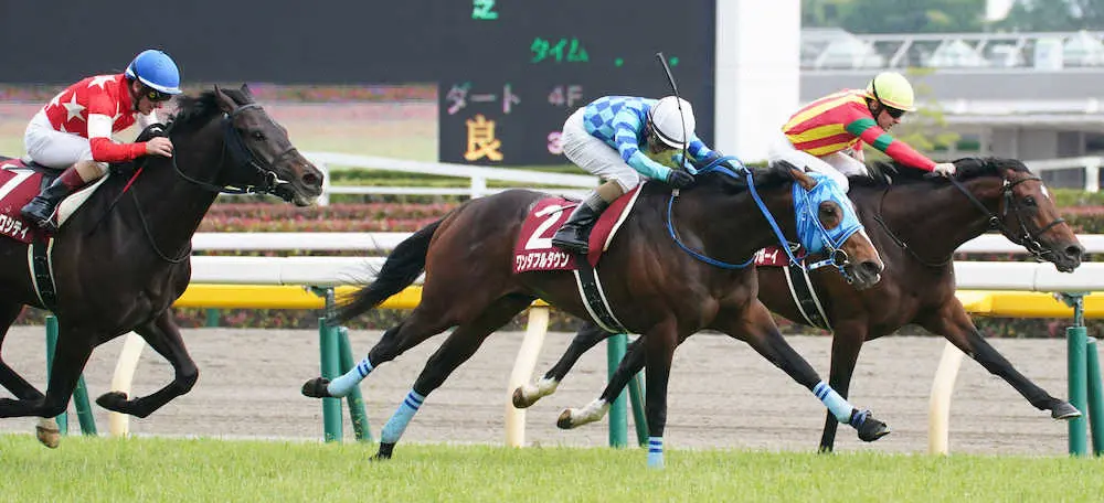 青葉賞を制したワンダフルタウン（中央）＝撮影・郡司　修