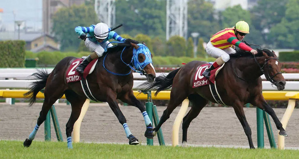優勝したワンダフルタウン（左）と2着のキングストンボーイ（撮影・郡司　修）