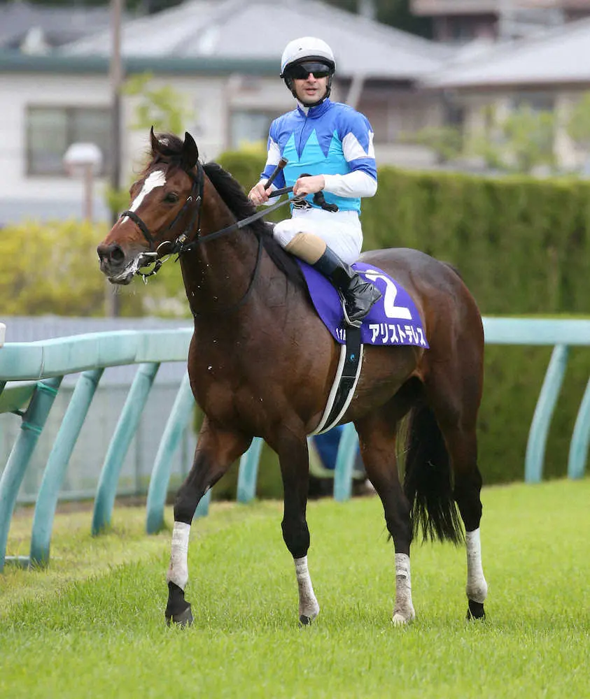 ＜天皇賞・春＞2番人気で4着のアリストテレス（撮影・亀井　直樹）
