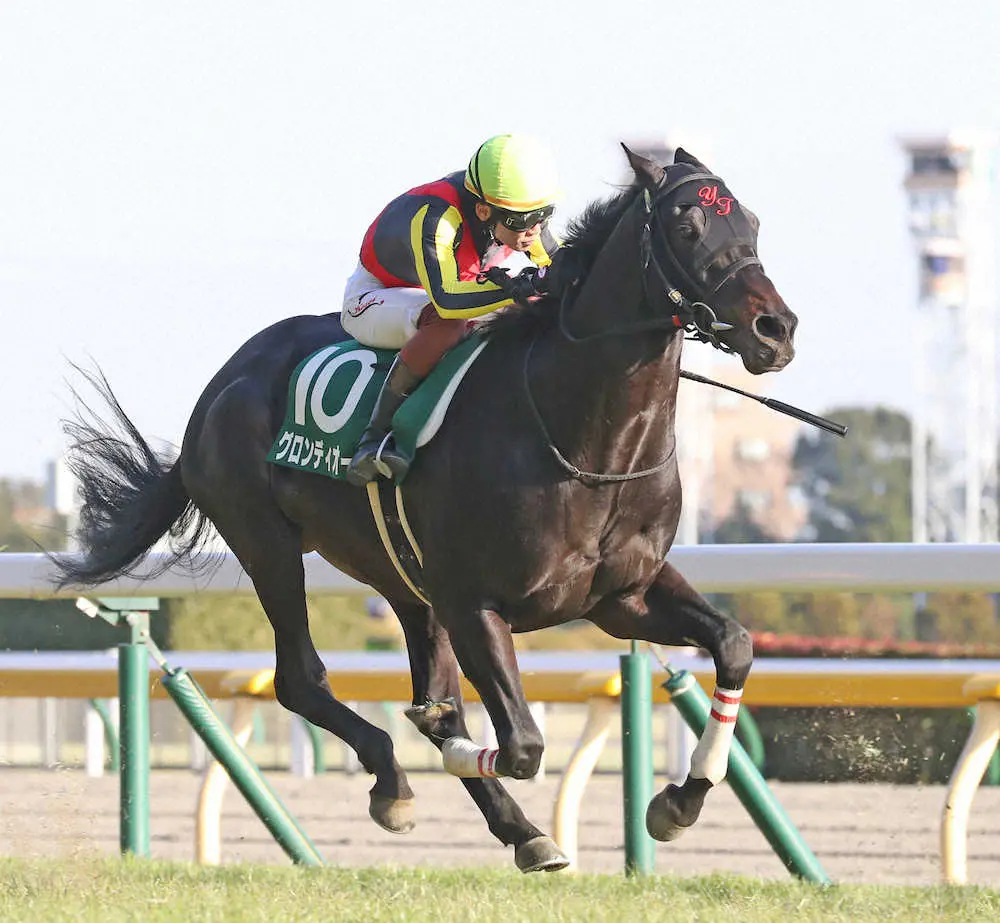 グロンディオーズ（撮影・西川　祐介）
