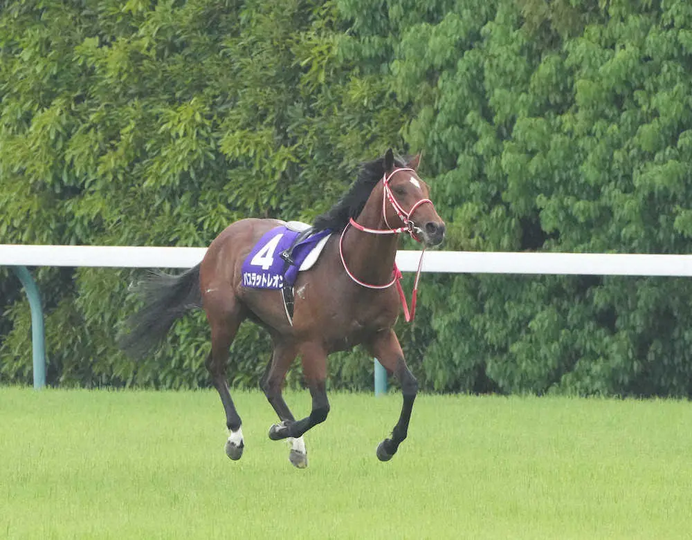 ＜NHKマイルC＞１頭で馬場を走るバスラットレオン（撮影・西川祐介）