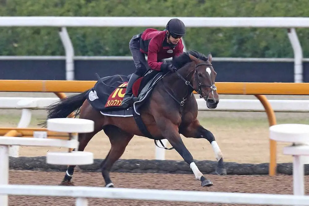 /＜ヴィクトリアM＞中内田師を背に、CWコース単走で仕上げられたダノンファンタジー