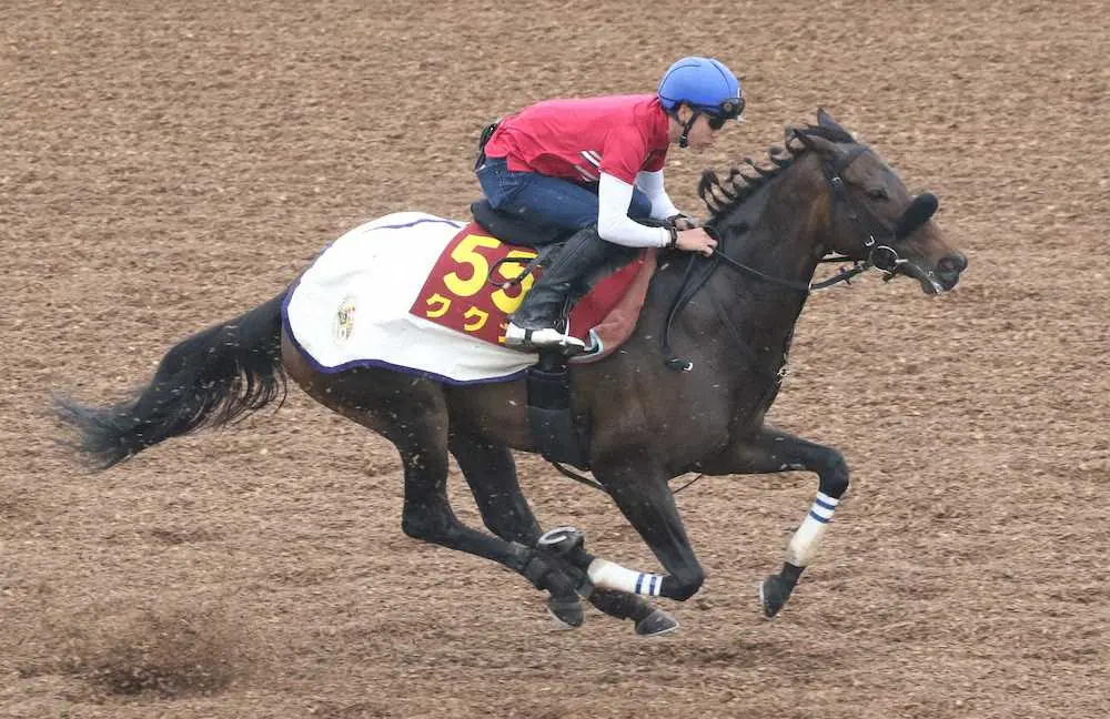 ＜オークス＞横山武を背に追切るククナ