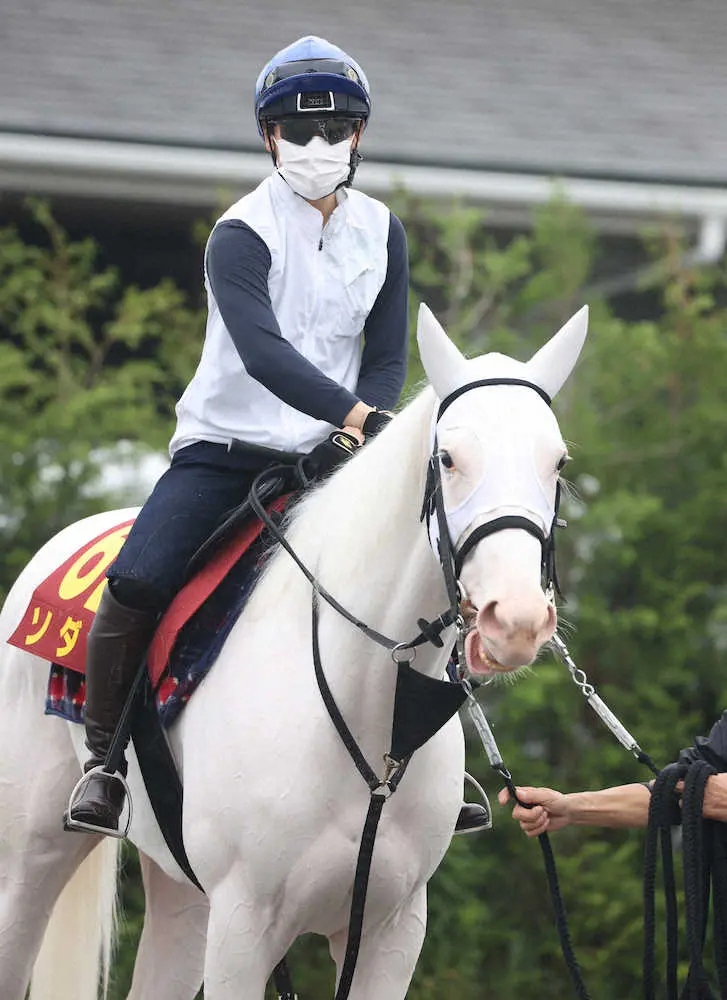 吉田隼騎手を背に追い切りに向かうソダシ（撮影・亀井　直樹）