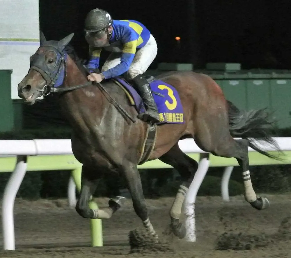 川崎初遠征で4度目の重賞制覇を狙うモジアナフレイバー。