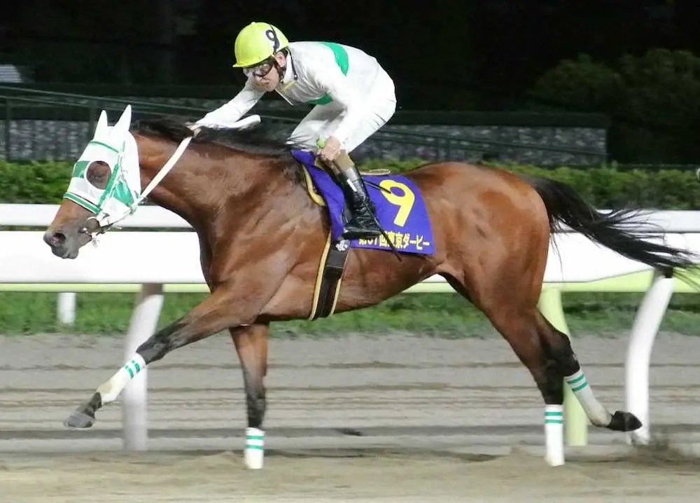 東京ダービーで逃げ切り、南関3歳の頂点に立ったアランバローズ