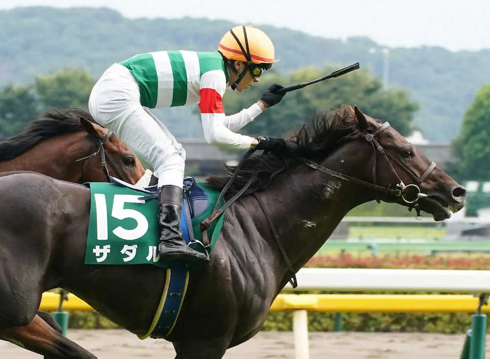 ＜第38回エプソムカップ＞レースを制したザダル。鞍上の石橋はゴール後ガッツポーズ（撮影・郡司　修）