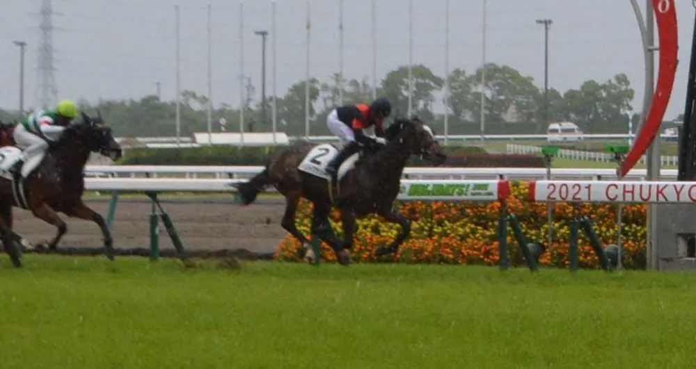 ＜中京5R＞雨が降りしきる中、1番人気に応えて快勝したメリトクラシー