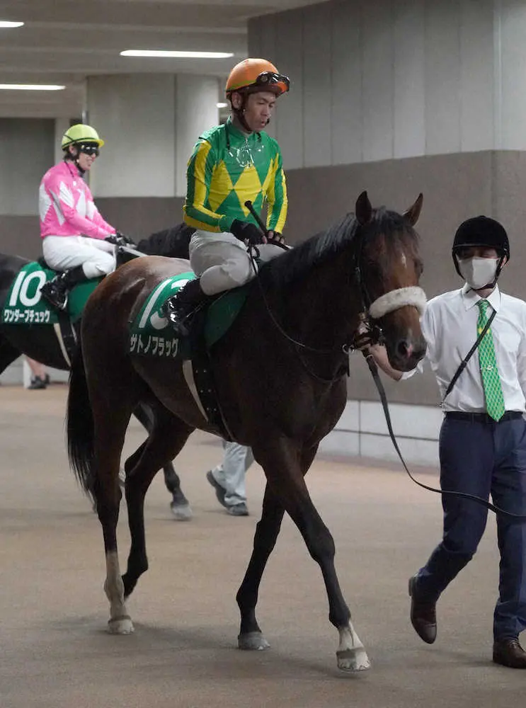 ＜エプソムC＞2着でレースを終えたサトノフラッグ（撮影・郡司　修）