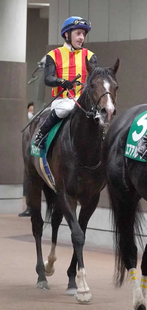 ＜エプソムC＞10着でレースを終えたアルジャンナ（撮影・郡司　修）