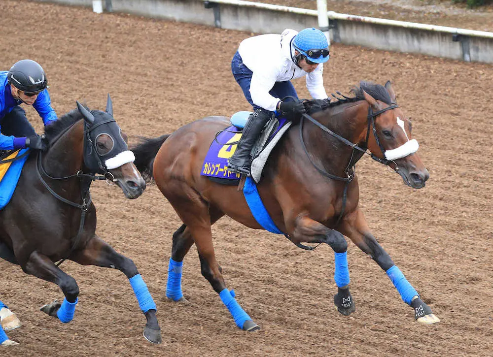 1週前追い切りで力強く動いたカレンブーケドール（撮影・西川祐介）