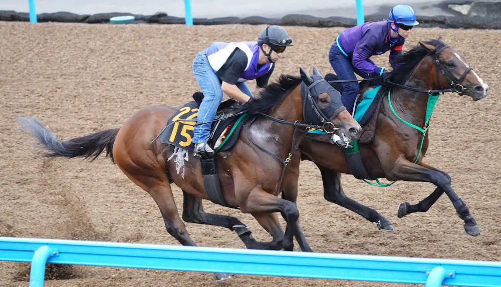 併せで追い切るゲンパチフォルツァ（左手前）（撮影・西川祐介）