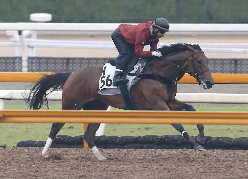Cウッドを単走で追い切るアンドラステ