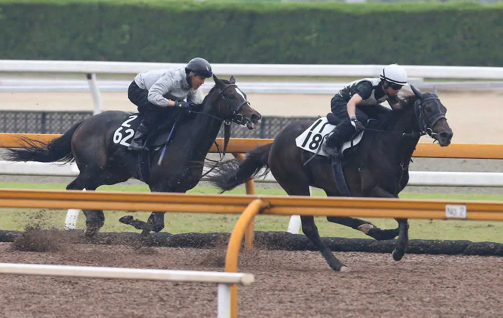 森一馬騎手を背にCウッドをキタサンシンドー（左）と併せ馬で追い切るソフトフルート