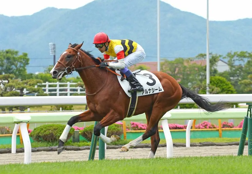 ＜函館新馬戦＞4コーナーから先頭に立ち逃げ切ったアルナシーム（撮影・千葉茂）