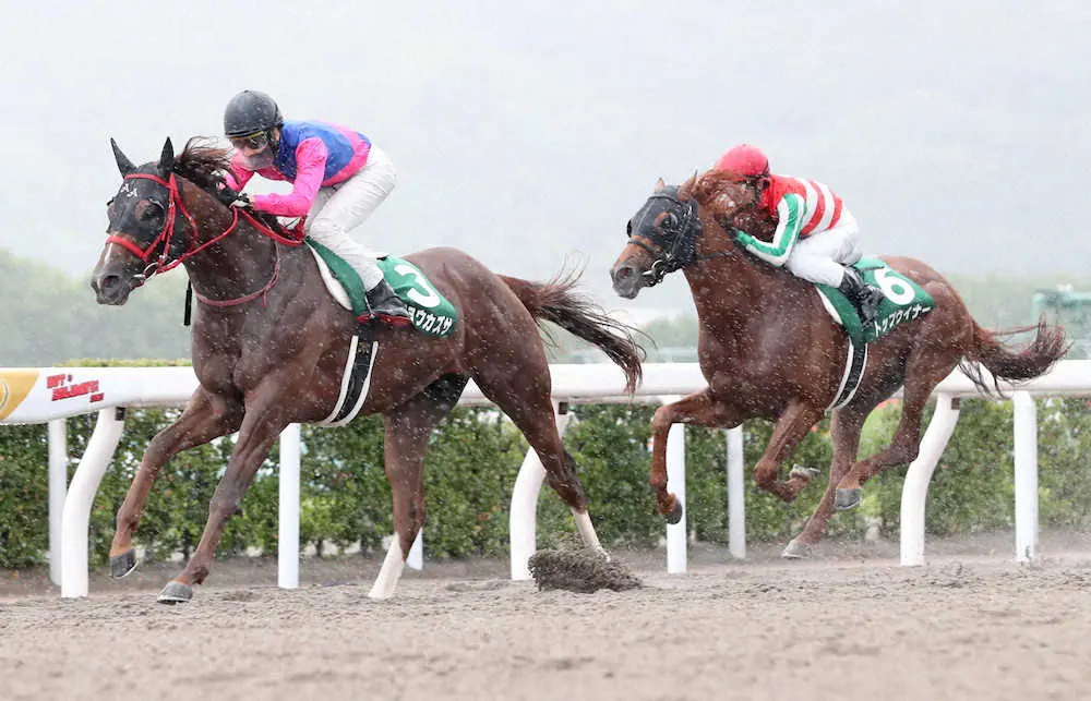小倉11Ｒ・プロキオンＳを日本レコードで制したメイショウカズサ（左）と2着のトップウイナー（撮影・中村　達也）