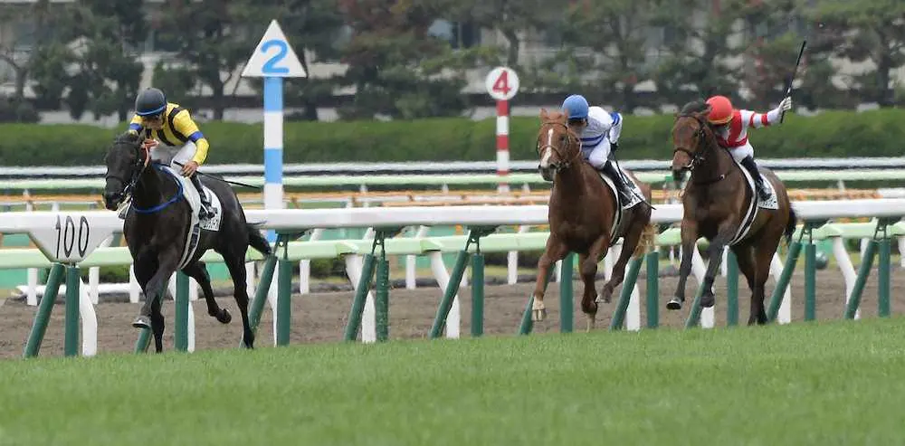 ＜函館5R新馬戦＞5馬身差を圧勝したエクラノーブル＝左（撮影・千葉茂）