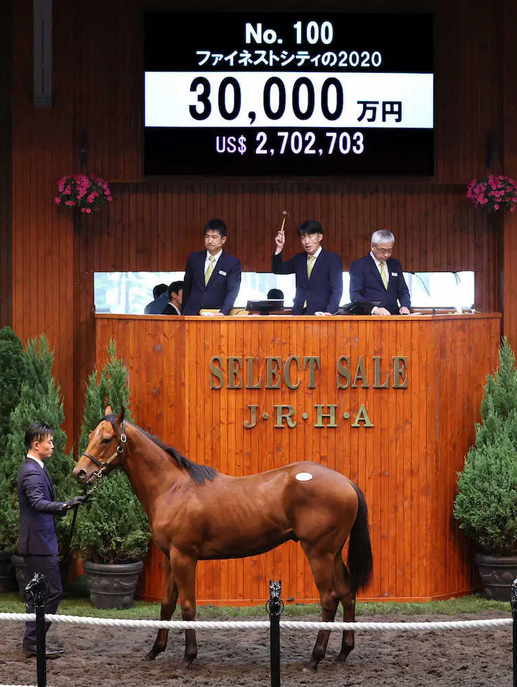 3億円で落札されたファイネストシティの2020（（C）Japan　Racing　Horce　Association）