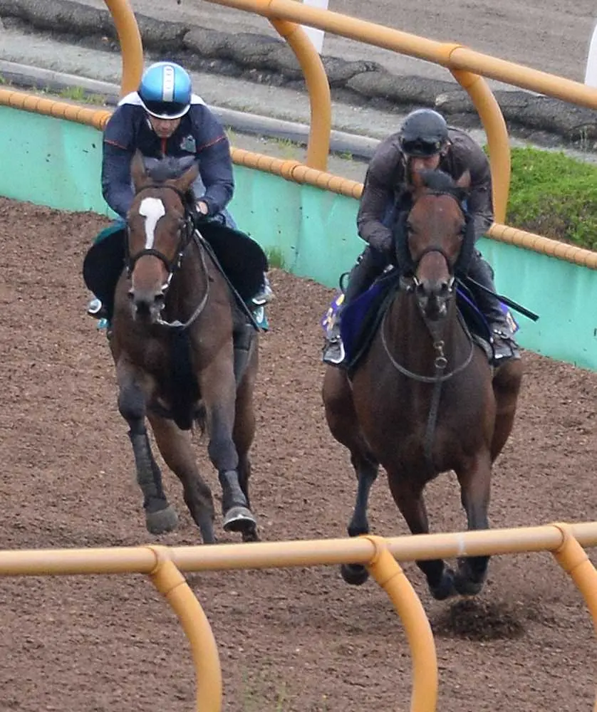 ＜函館2歳S＞ワールドウインズ（右）と併せて追い切ったメリトクラシー（撮影・千葉茂）