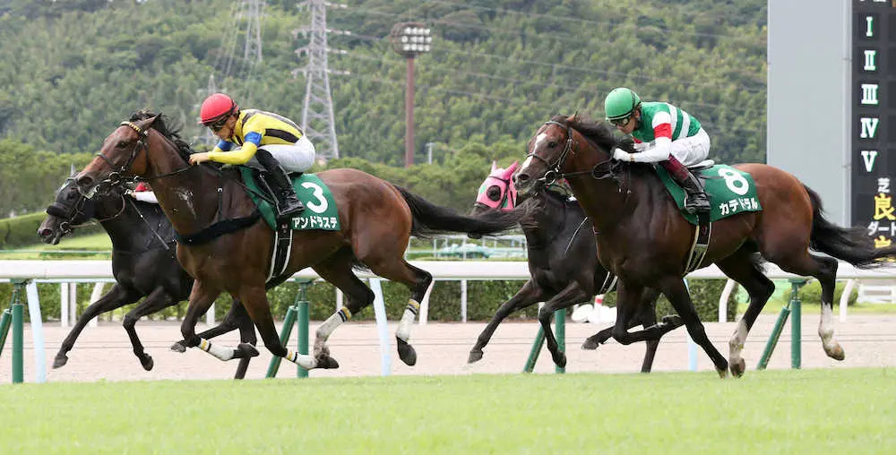 ＜中京記念＞1着のアンドラステ（左）と2着・8番、カテドラル、3着・11番、クラヴェル（撮影・中村　達也）