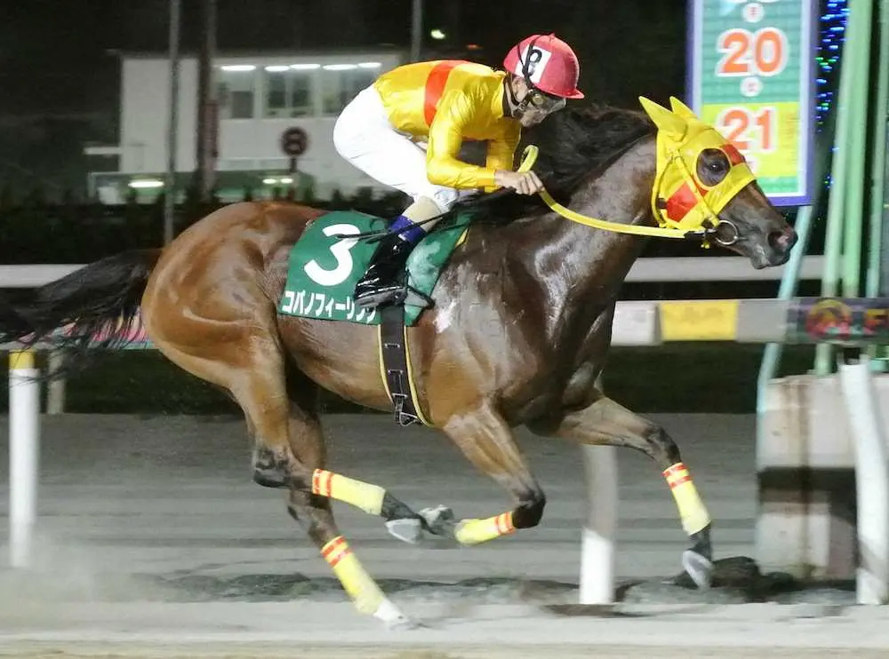 習志野きらっとスプリントを圧勝したコパノフィーリング