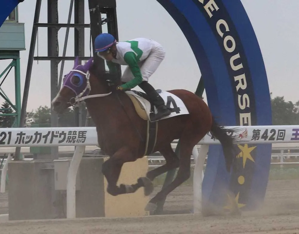 門別でデビューしたキセキノテイオー
