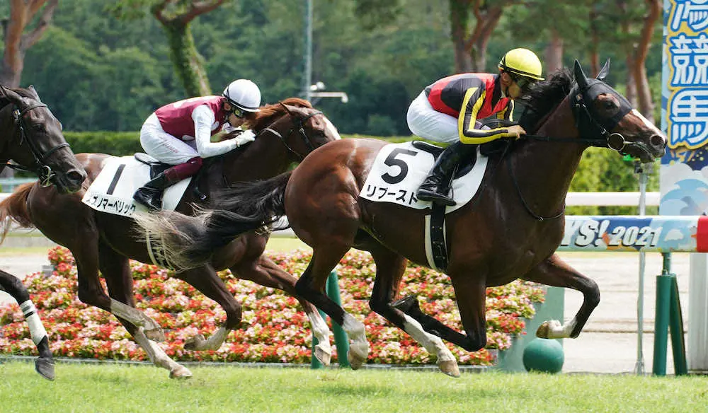 ＜新潟5R新馬戦＞レースを制したリブースト（右端）＝撮影・郡司　修