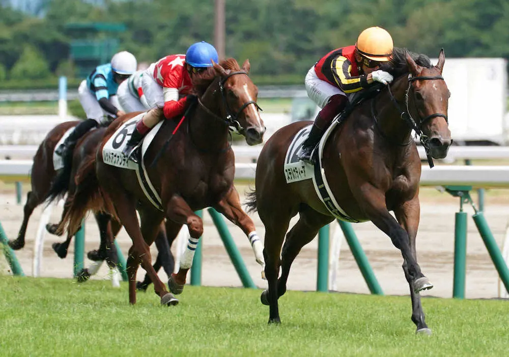 ＜新潟6R新馬戦＞レースを制したステルナティーア（右端）＝撮影・郡司　修