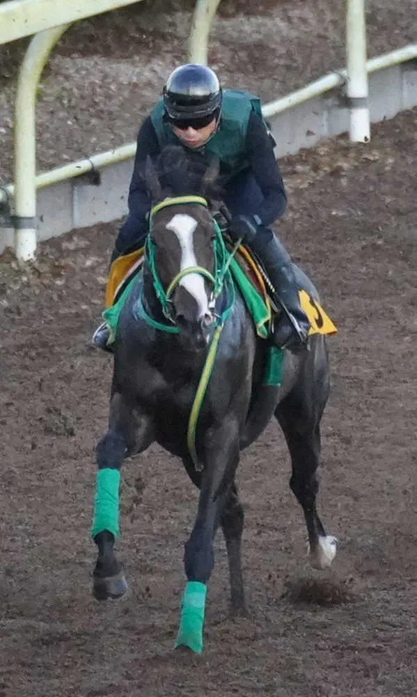 坂路で追い切るシャドウディーヴァ（撮影・郡司　修）