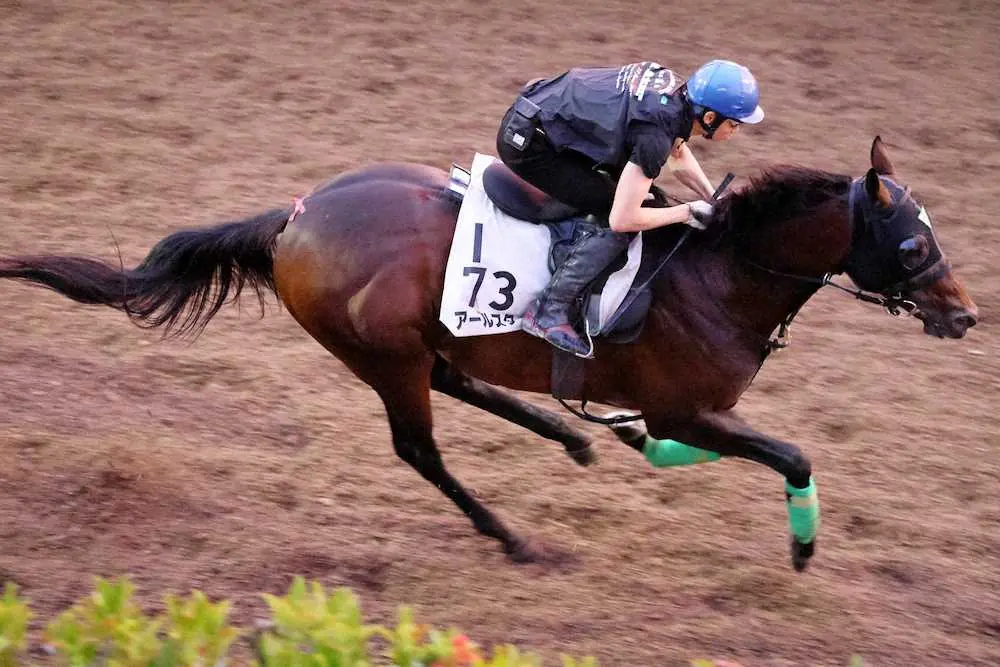 長岡騎手を背に、併走馬に先着するアールスター