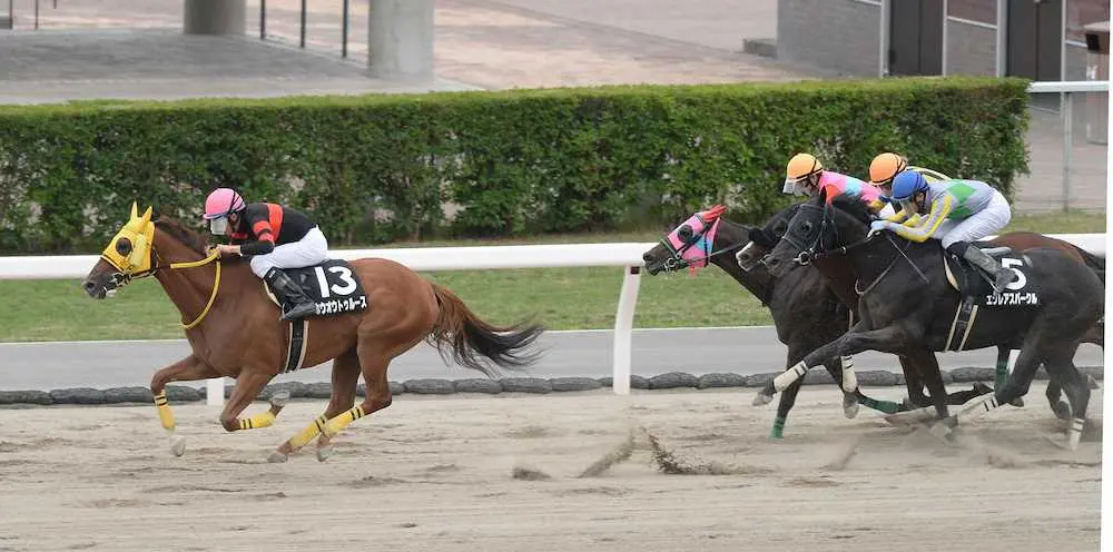 ＜札幌11R羊蹄山S＞直線で一気に抜け出して勝ったホウオウトゥルース＝左（撮影・千葉　茂）