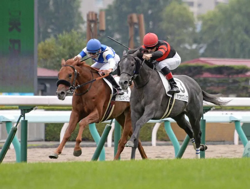 ＜札幌5R新馬戦＞サンストックトン（左）との叩き合いを制して勝ったホウオウプレミア（撮影・千葉　茂）