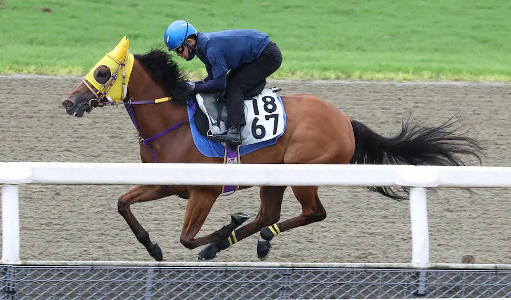単走で追い切るボンボヤージ（撮影・亀井　直樹）