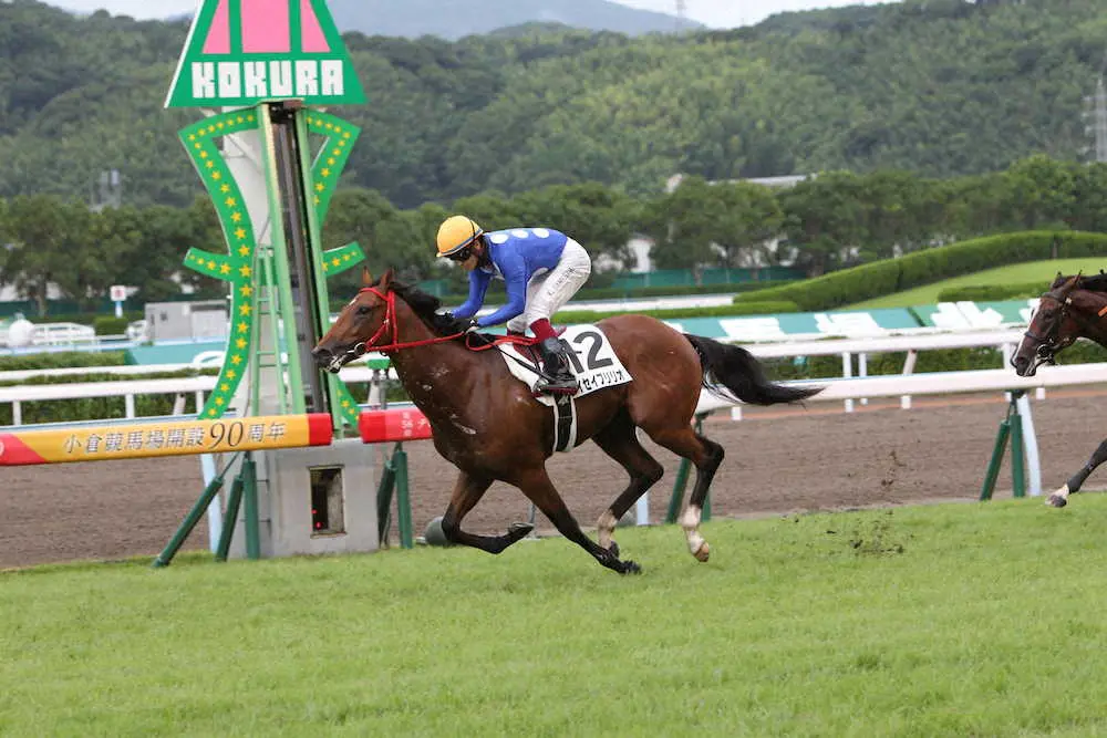 ＜小倉5R新馬戦＞1着でゴールするタイセイブリリオ（撮影・柴田春男）