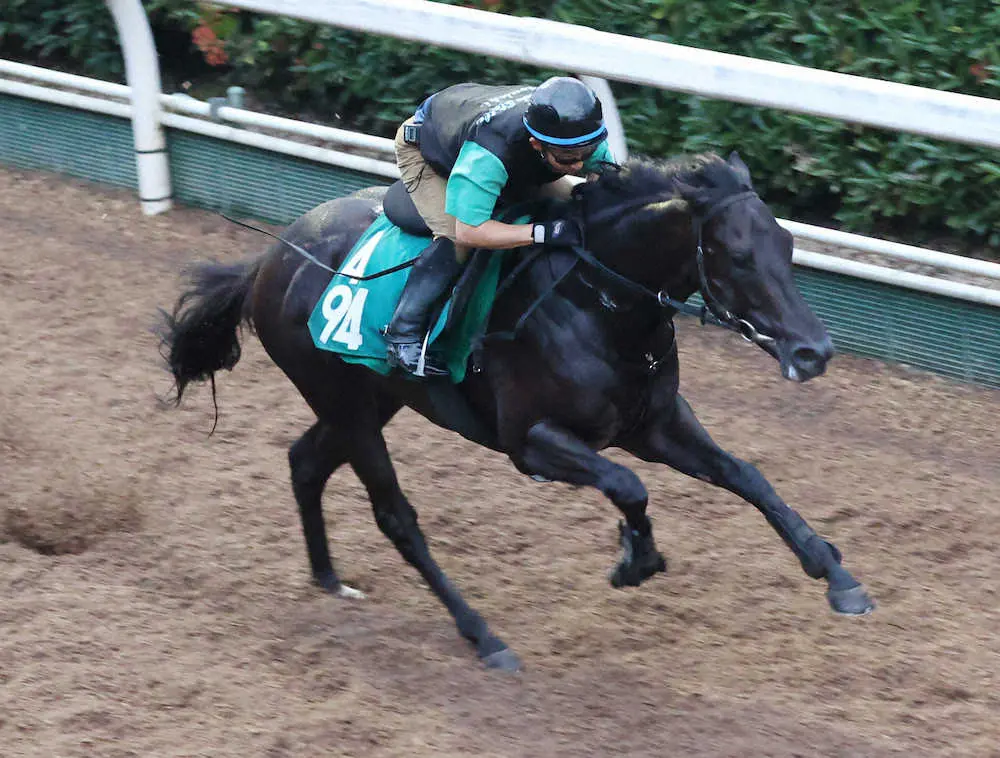 ＜新潟2歳S＞坂路で追い切るオタルエバー（撮影・亀井　直樹）