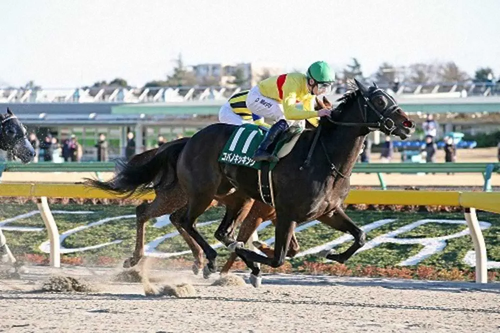 名手・武豊との再コンビで昨夏のリベンジを狙うコパノキッキング（C）JRA