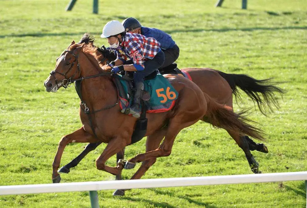 ＜札幌2歳S＞札幌競馬場の芝コースで追い切ったジオグリフ＝手前（撮影・千葉　茂）