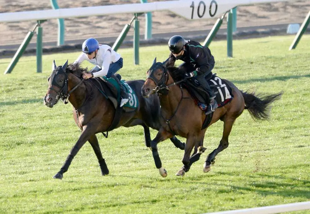 ＜札幌2歳S＞札幌競馬場の芝コースで追い切ったリューベック＝左（撮影・千葉　茂）