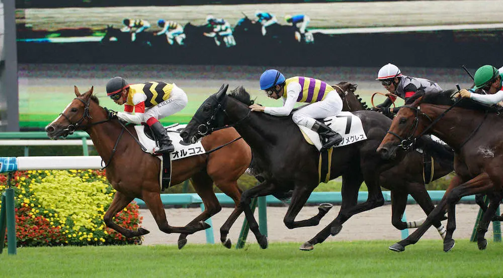 ＜中山5R新馬戦＞レースを制したオルコス（左端）＝撮影・郡司　修